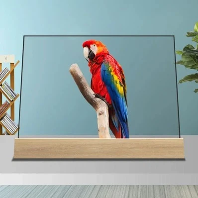 OLED Clear Display