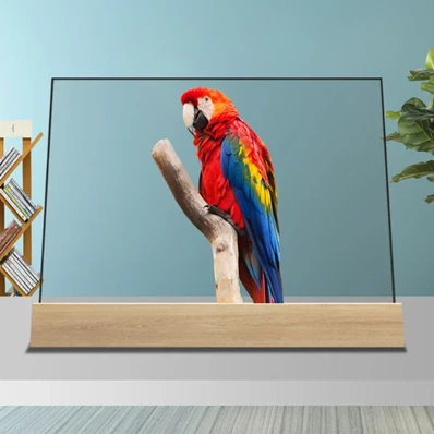 OLED Clear Display